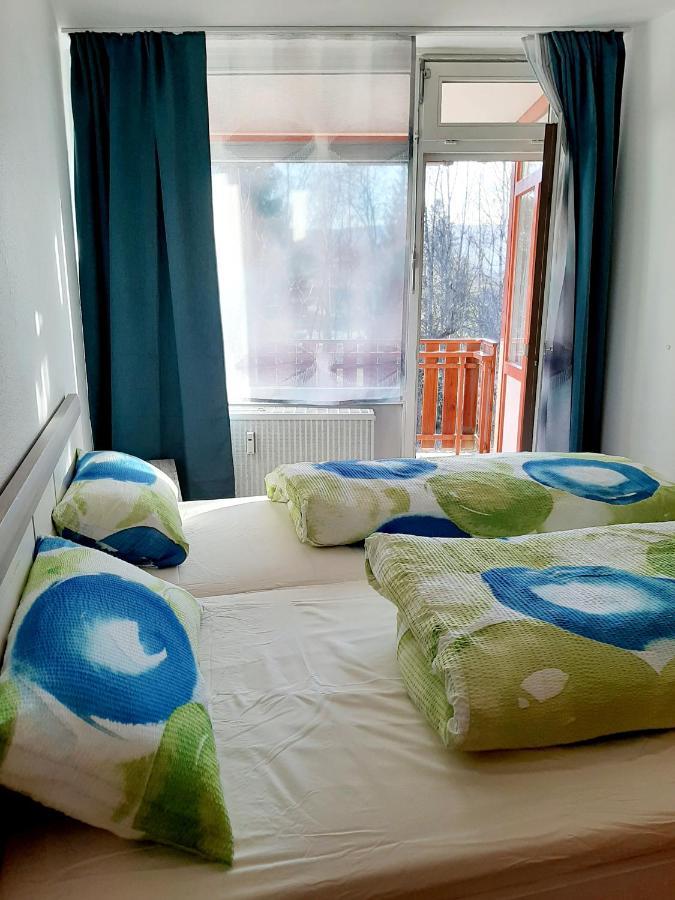 Apartment Anja Schluchsee Extérieur photo