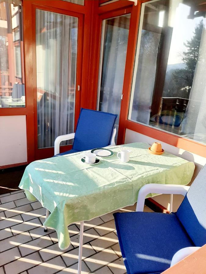Apartment Anja Schluchsee Extérieur photo